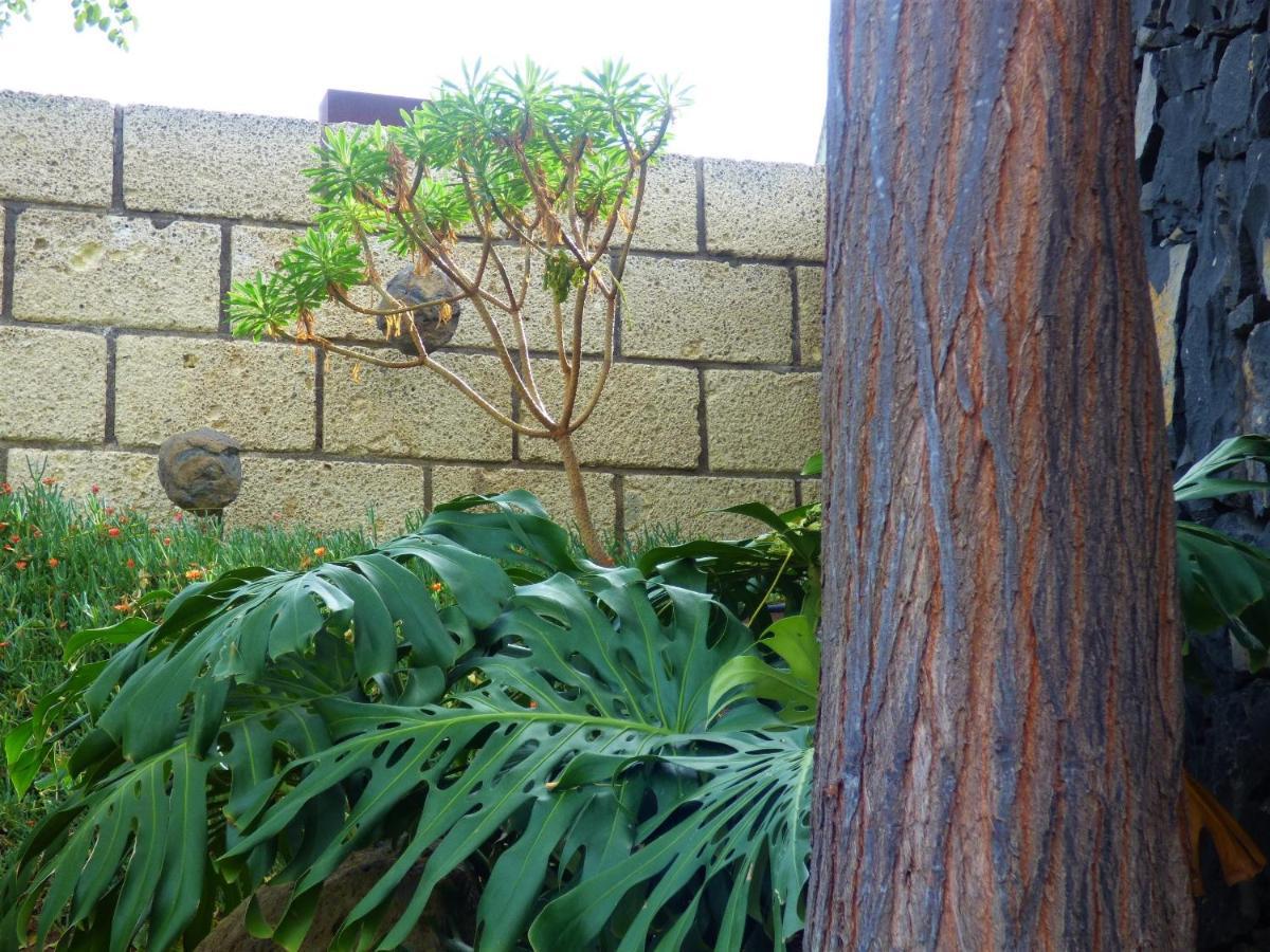 Eco Suites Caves La Laguna  Exterior photo